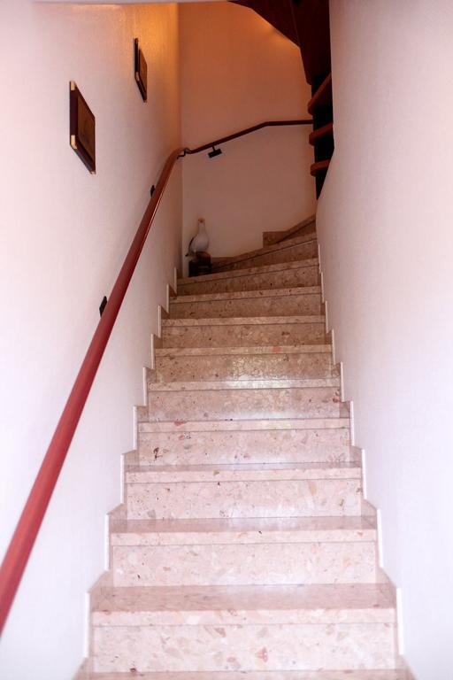 Apartments Zur Schoenen Aussicht 比苏姆 外观 照片